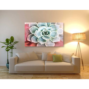 'Succulent Garden' by Irena Orlov, Canvas Wall Art,54 x 40