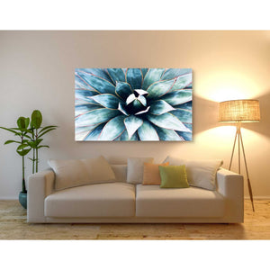 'Tropical Star' by Irena Orlov, Canvas Wall Art,54 x 40