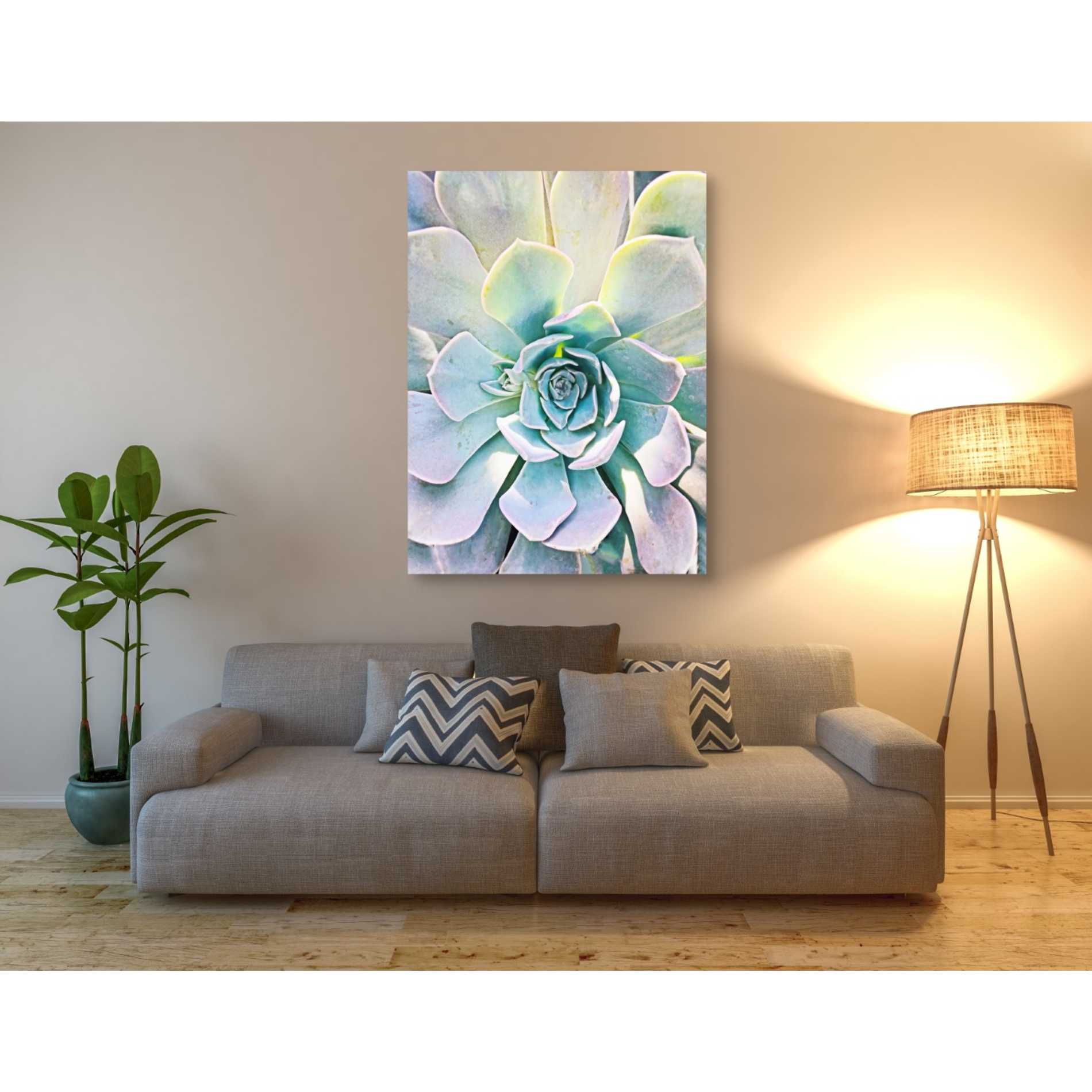 'Unique Succulent' by Irena Orlov, Canvas Wall Art,40 x 54