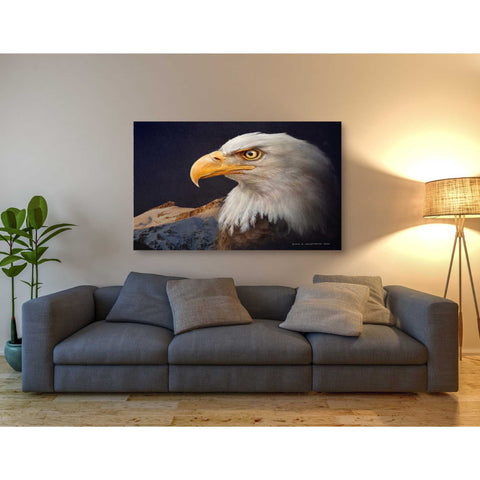 Image of 'Bald Eagle Study' by Chris Vest, Giclee Canvas Wall Art