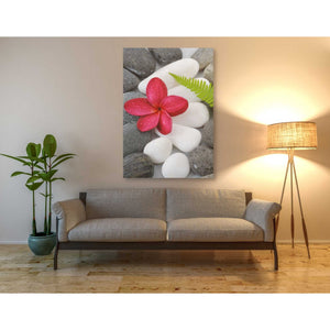 'Wabi-Sabi I' Canvas Wall Art,40 x 60