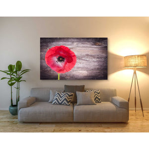 'Luxury On Rustic' Canvas Wall Art,40 x 60