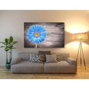'Serenity' Canvas Wall Art,40 x 60