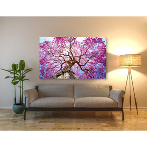 'Thing of Beauty' Canvas Wall Art,40 x 60