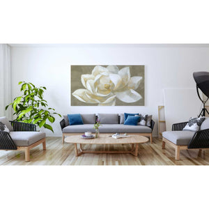 'Majestic Beige' by Albena Hristova, Canvas Wall Art,60 x 40