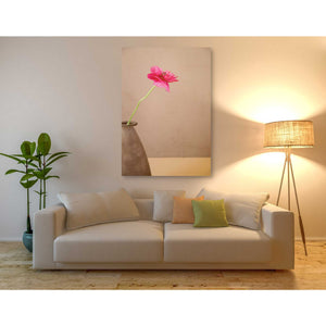 'Simple' by Elena Ray Canvas Wall Art,40 x 60