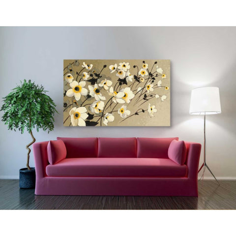 Image of 'Anemones Japonaises Blancs' by Shirley Novak, Canvas Wall Art,60 x 40