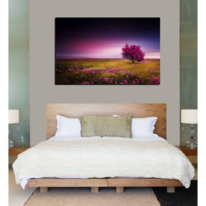 'Pink Nights' Canvas Wall Art,40 x 60