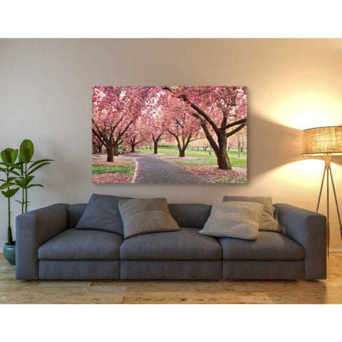Image of 'Cherry Parade' by Katherine Gendreau, Giclee Canvas Wall Art