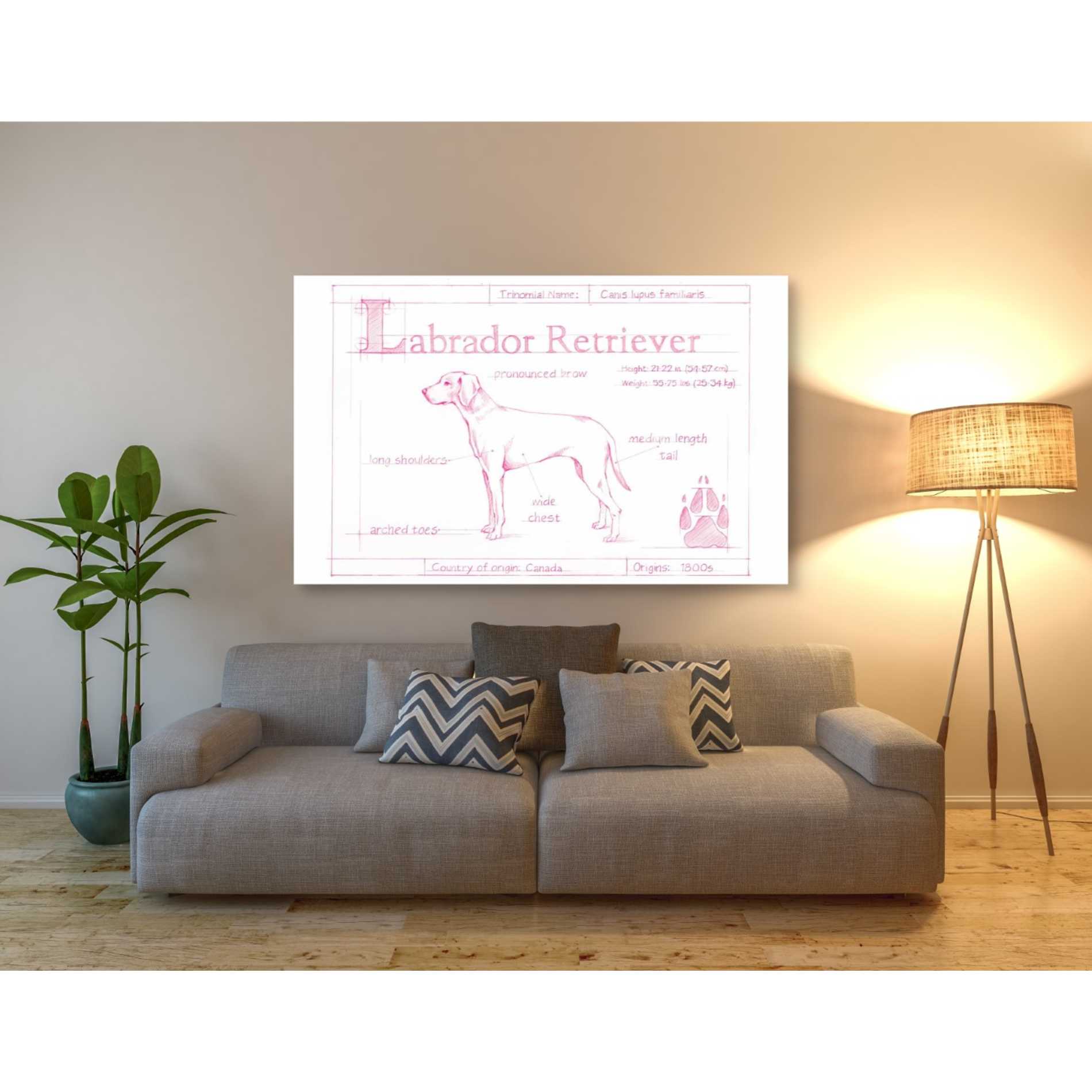 'Blueprint Labrador Retriever in Pink' by Ethan Harper Canvas Wall Art,60 x 40