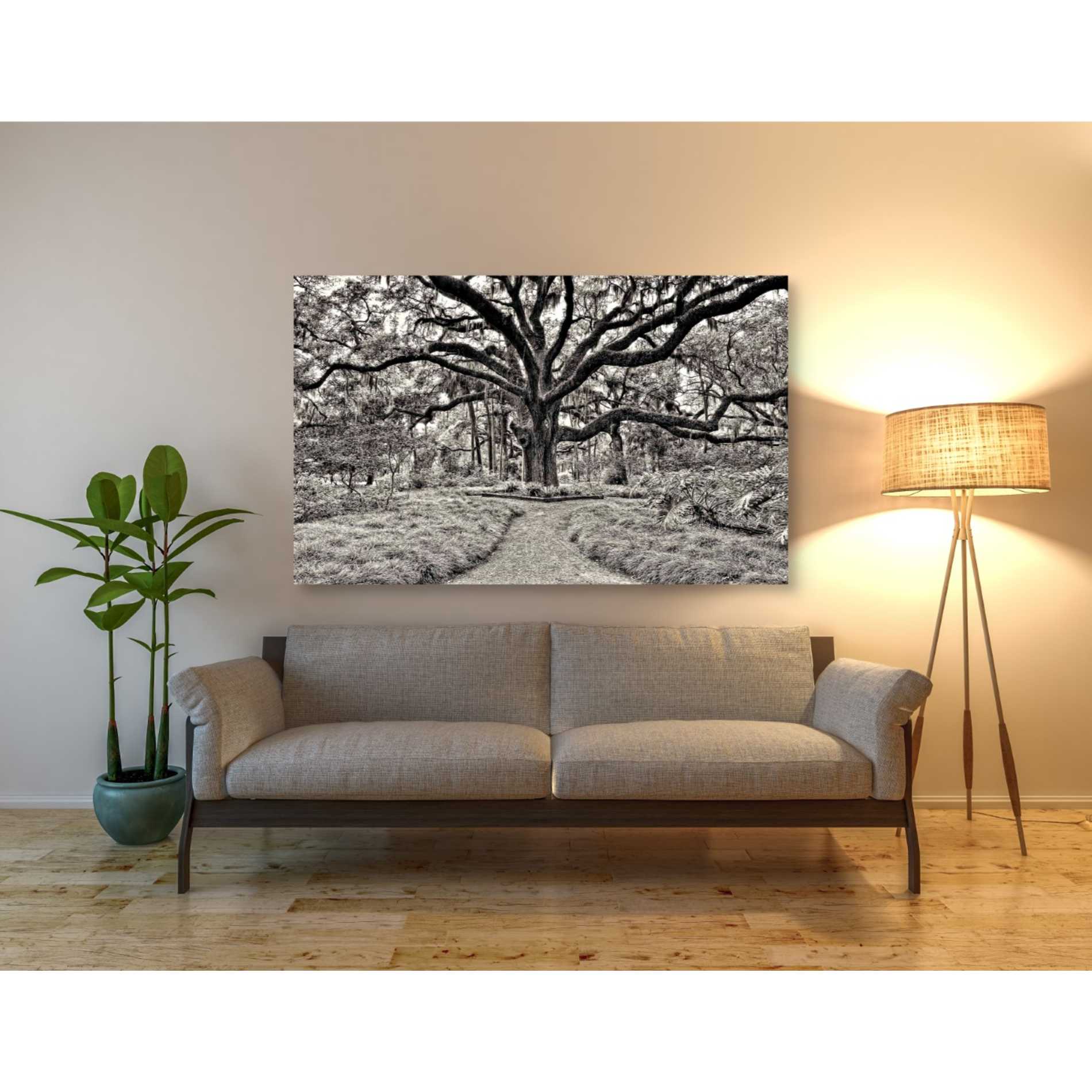 'Florida Tree' by PH  Burchett Giclee Canvas Wall Art