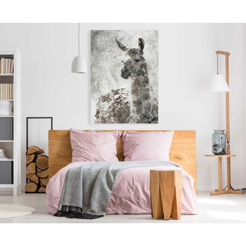 Image of 'Llama' by Irena Orlov, Canvas Wall Art,40 x 60