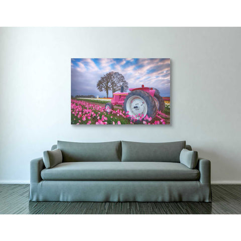 Image of 'Jane Deere' by Darren White, Canvas Wall Art,40 x 60