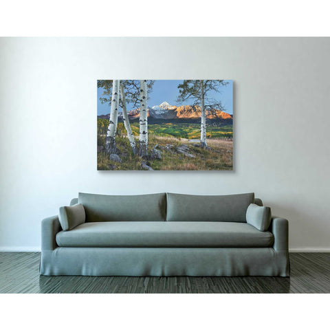 Image of 'Wilson Peak,' Canvas Wall Art,40 x 60