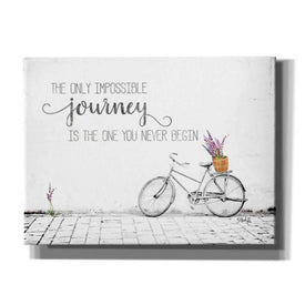 'Impossible Journey' by Marla Rae, Canvas Wall Art