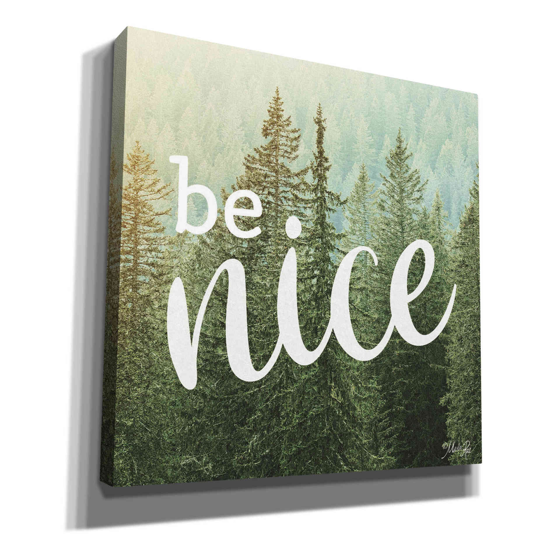 'Be Nice' by Marla Rae, Canvas Wall Art