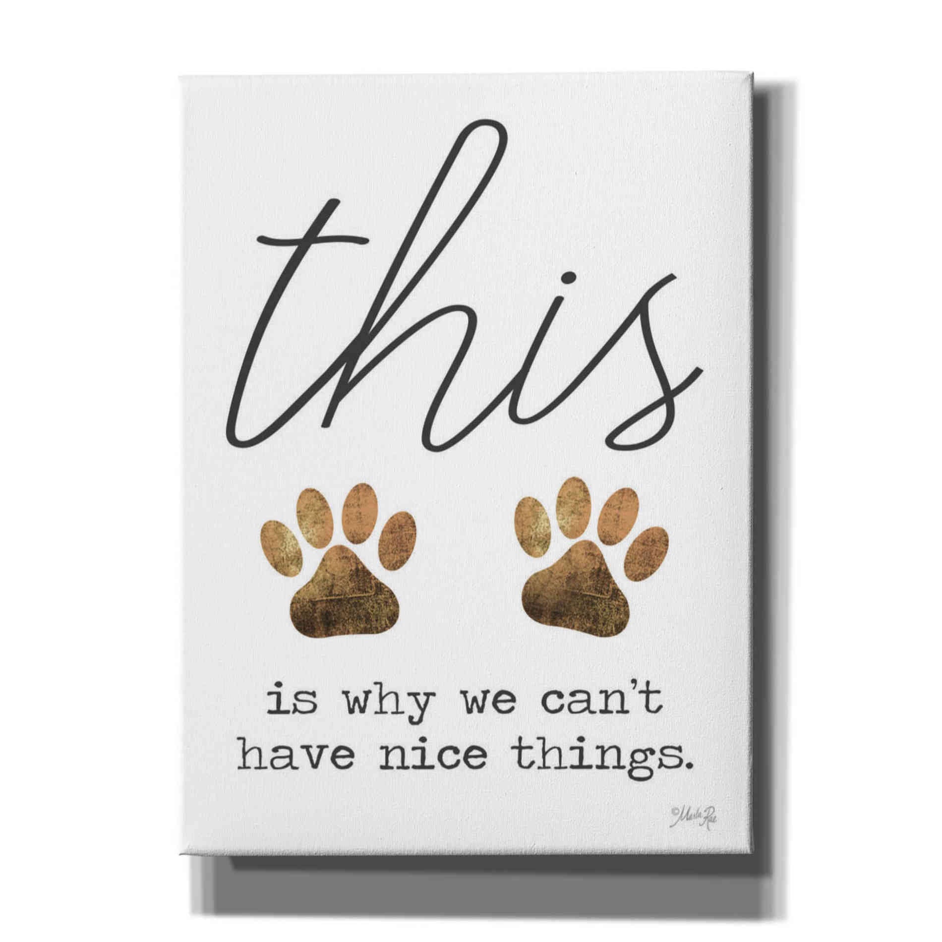 'Can't Have Nice Things' by Marla Rae, Canvas Wall Art