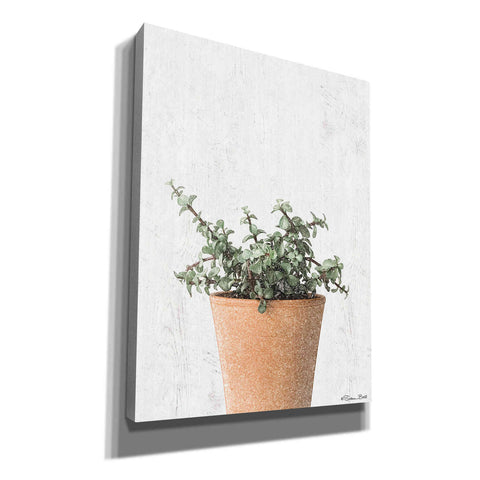 Image of 'Succulents II' by Susan Ball, Canvas Wall Art