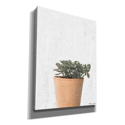Image of 'Succulents III' by Susan Ball, Canvas Wall Art