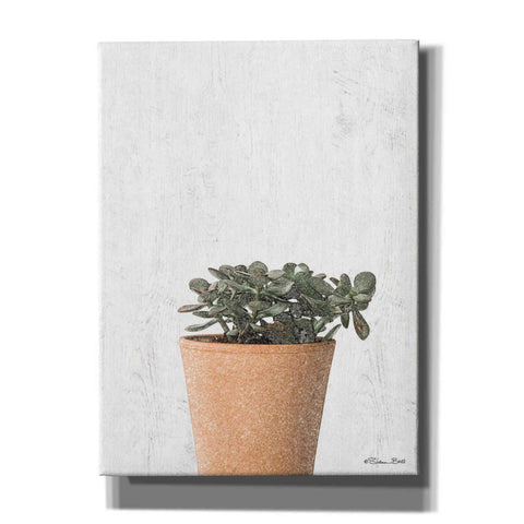 Image of 'Succulents III' by Susan Ball, Canvas Wall Art