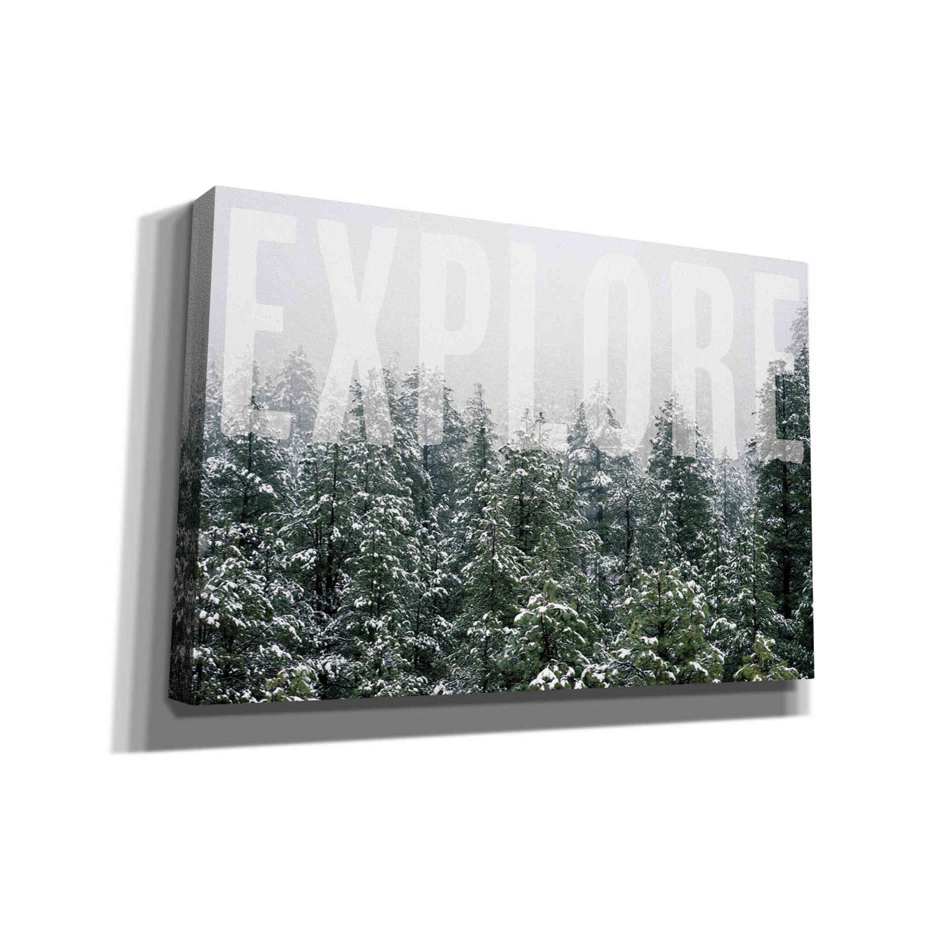 'Explore' by Susan Ball, Canvas Wall Art