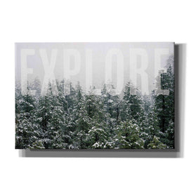 'Explore' by Susan Ball, Canvas Wall Art
