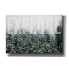 'Explore' by Susan Ball, Canvas Wall Art