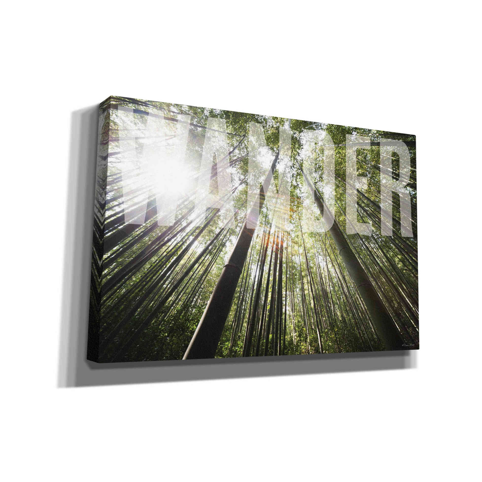 'Wander' by Susan Ball, Canvas Wall Art