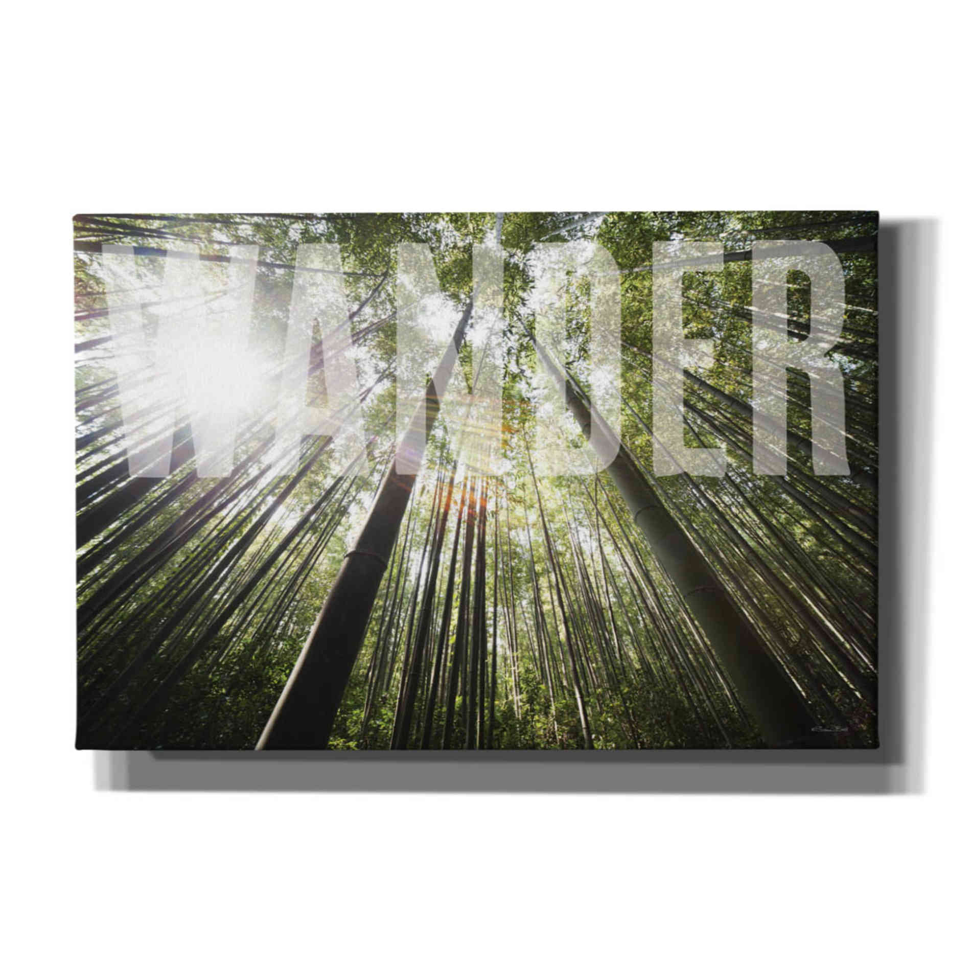 'Wander' by Susan Ball, Canvas Wall Art