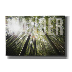 'Wander' by Susan Ball, Canvas Wall Art