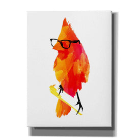 'Punk Bird' by Robert Farkas, Canvas Wall Art