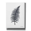 'Watercolor Black Plant I' by Seven Trees Design, Canvas Wall Art