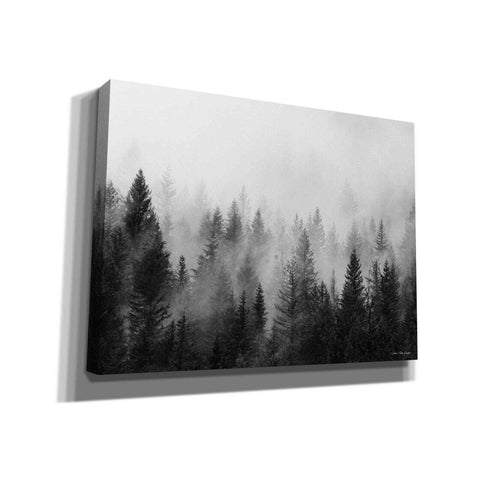 Image of 'Forest' by Seven Trees Design, Canvas Wall Art