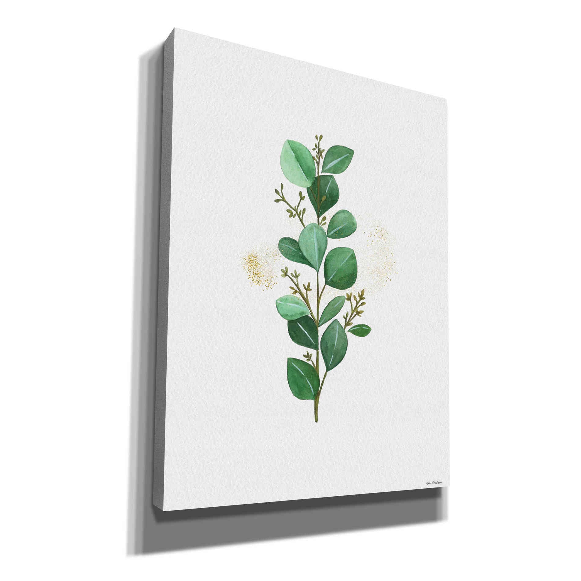 'Eucalyptus II' by Seven Trees Design, Canvas Wall Art
