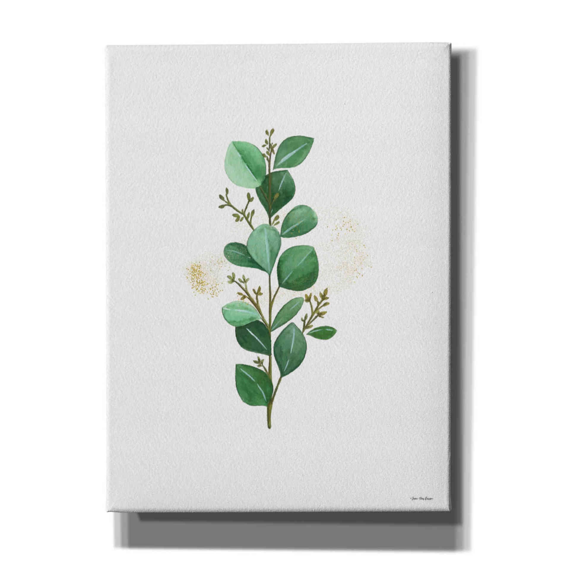 'Eucalyptus II' by Seven Trees Design, Canvas Wall Art