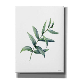 'Eucalyptus V' by Seven Trees Design, Canvas Wall Art