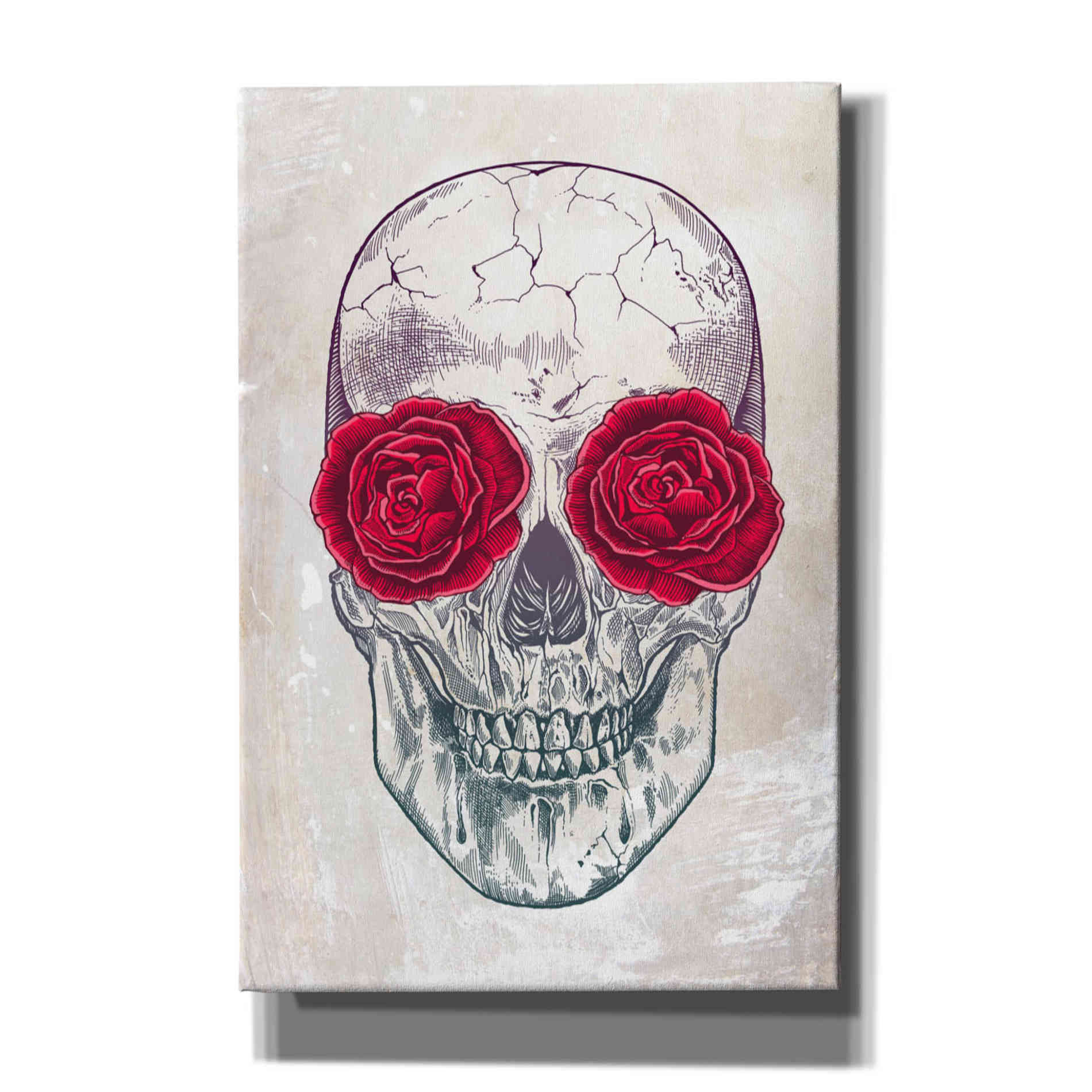 'Skull & Roses' by Rachel Caldwell, Canvas Wall Art