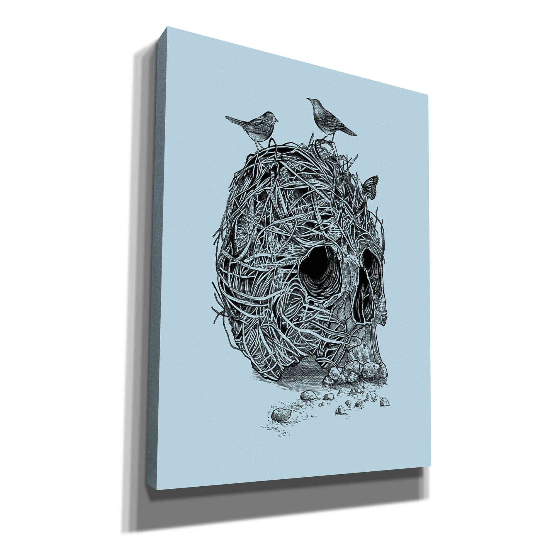 'Skull Nest' by Rachel Caldwell, Canvas Wall Art