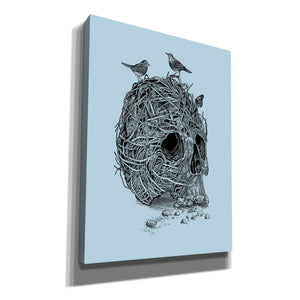'Skull Nest' by Rachel Caldwell, Canvas Wall Art