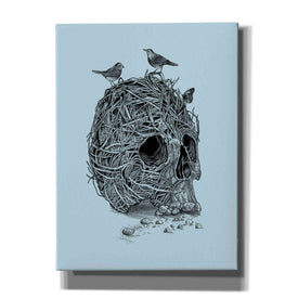 'Skull Nest' by Rachel Caldwell, Canvas Wall Art