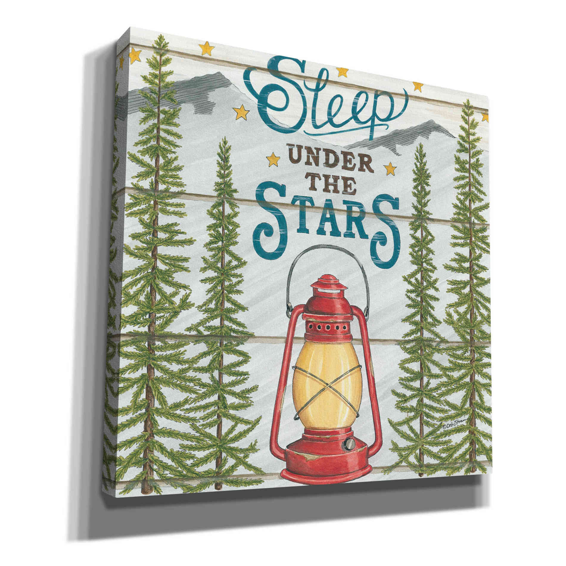 'Sleep Under the Stars' by Deb Strain, Canvas Wall Art