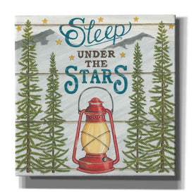 'Sleep Under the Stars' by Deb Strain, Canvas Wall Art