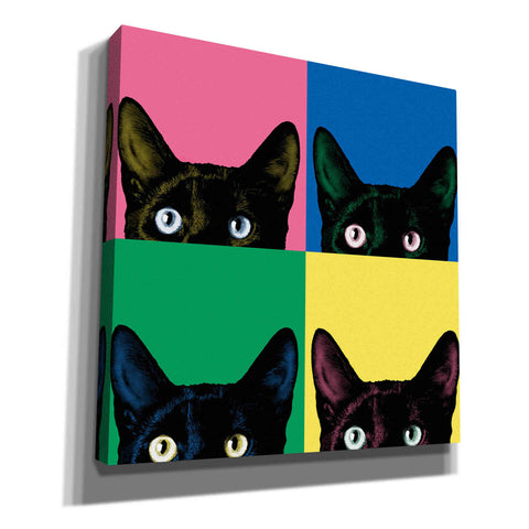 Image of 'Curiosity Pop' by Jon Bertelli, Canvas Wall Art