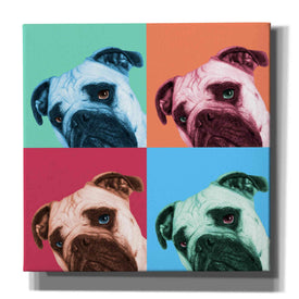 'Que Pasa Pop' by Jon Bertelli, Canvas Wall Art