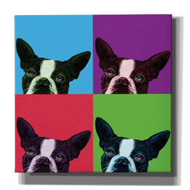 'Loyalty Pop' by Jon Bertelli, Canvas Wall Art