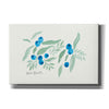'Bountiful Blueberries from Maine' by Kait Roberts, Canvas Wall Art