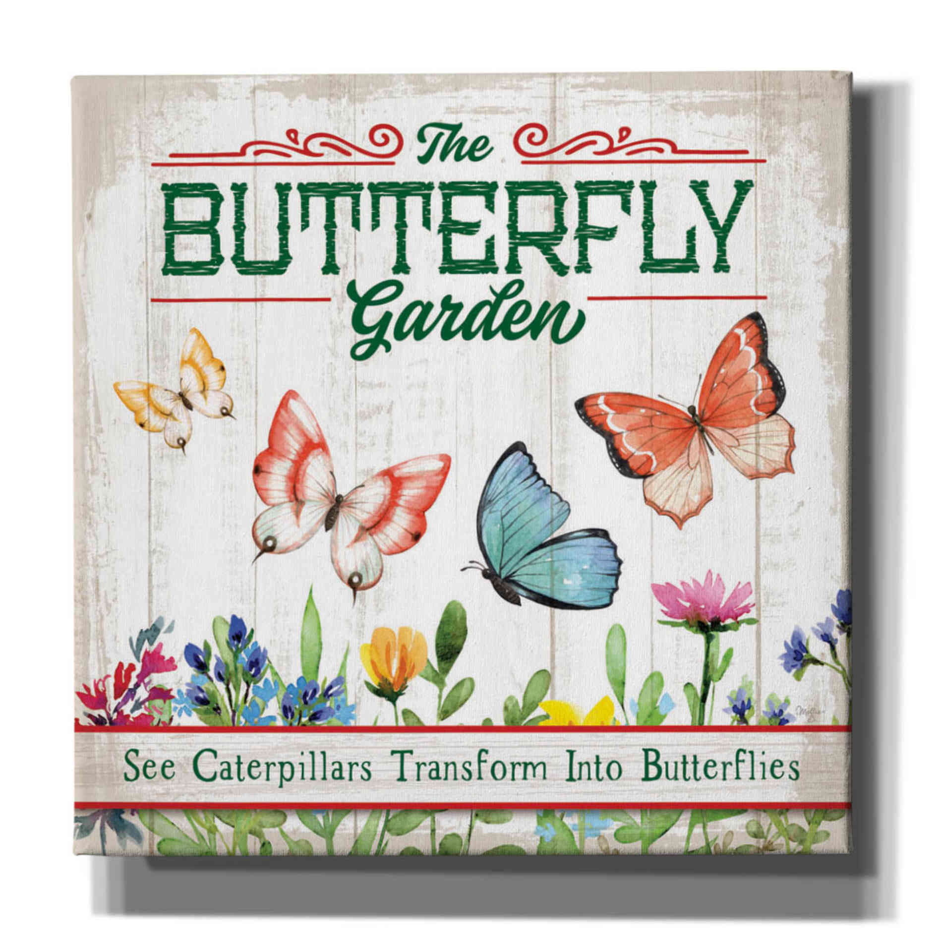 'Butterly Farm' by Mollie B, Canvas Wall Art