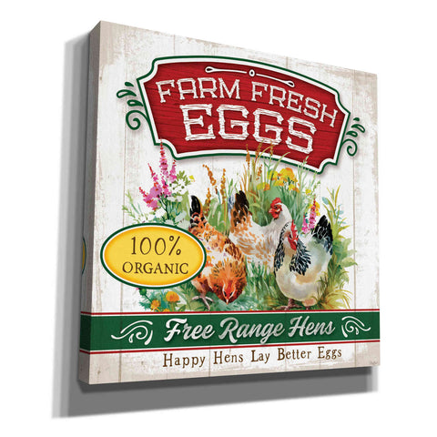 Image of 'Fresh Eggs' by Mollie B, Canvas Wall Art