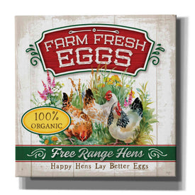 'Fresh Eggs' by Mollie B, Canvas Wall Art