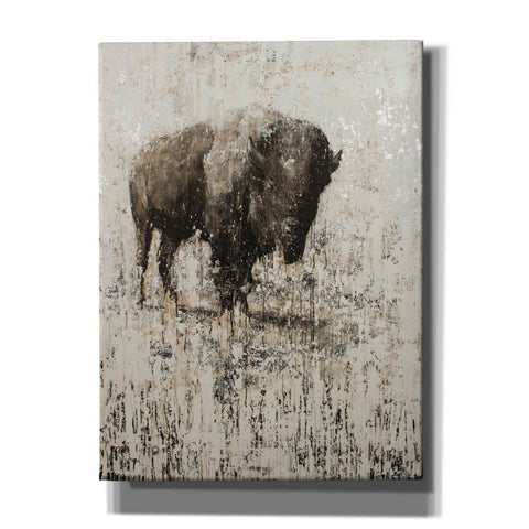 Image of 'Lone Buffalo' by Matt Flint, Canvas, Wall Art